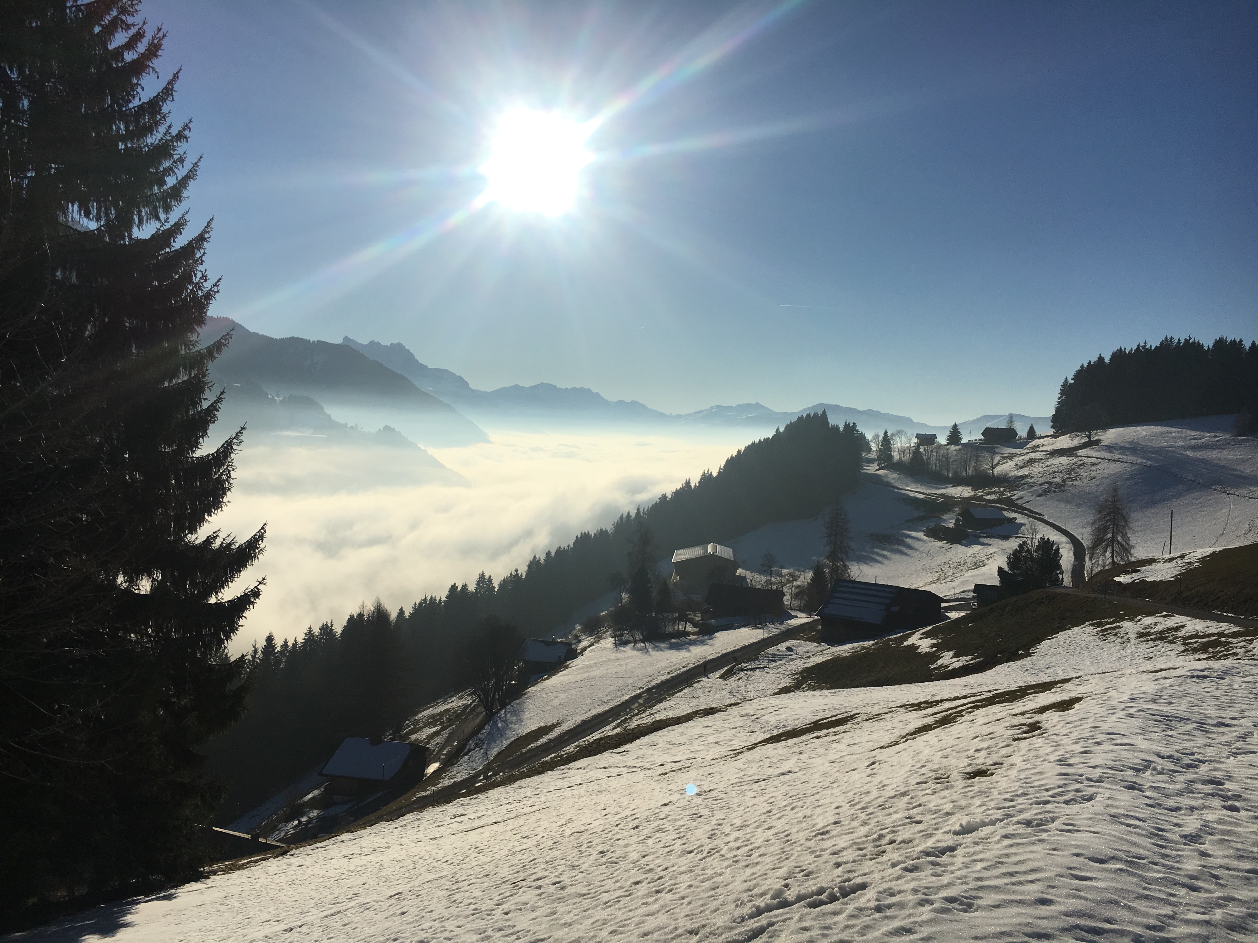 Panorama Alpes Suisses enneigée - Bas les masques Vue panoramique sur les alpes suisses enneigée